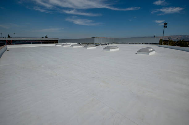 Best Roof Coating and Sealing  in Lakeville, MN