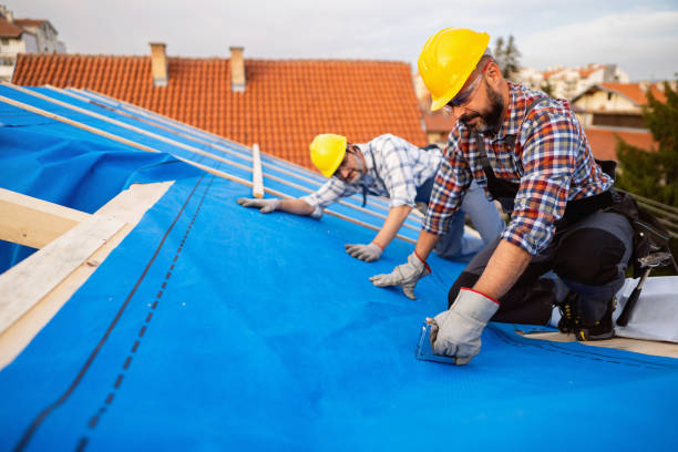 Roof Moss and Algae Removal in Lakeville, MN